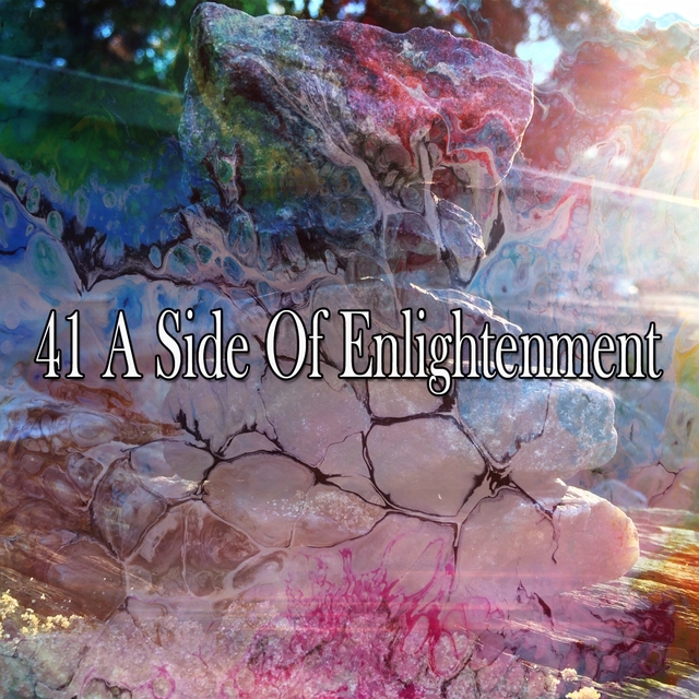 Couverture de 41 A Side of Enlightenment