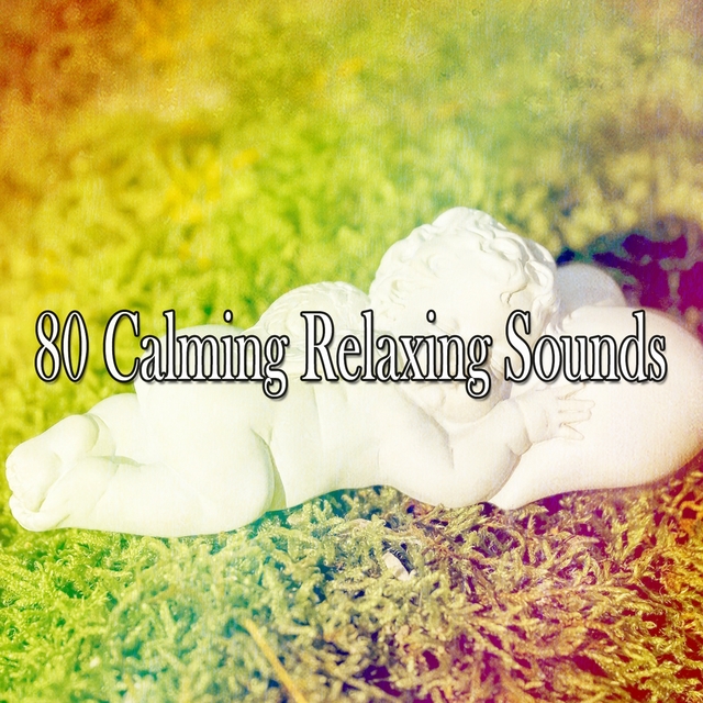 Couverture de 80 Calming Relaxing Sounds