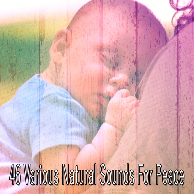 Couverture de 46 Various Natural Sounds for Peace