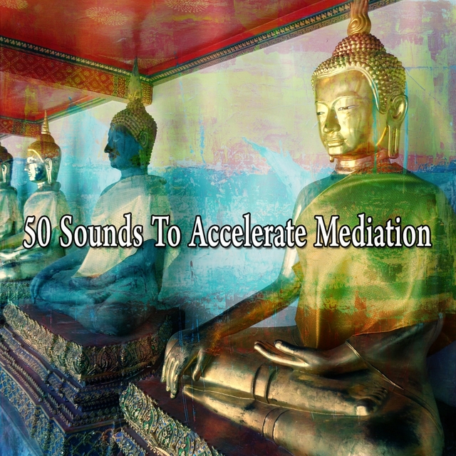 Couverture de 50 Sounds to Accelerate Mediation