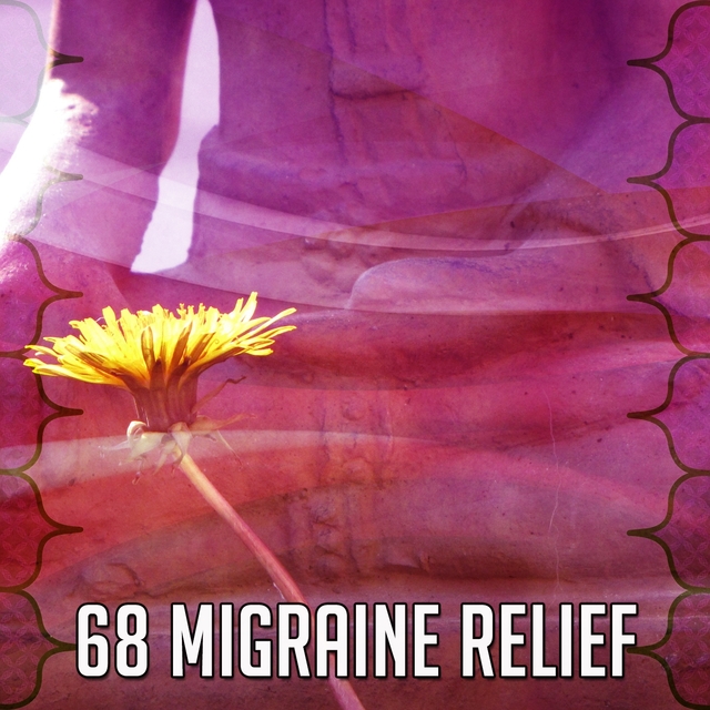 Couverture de 68 Migraine Relief