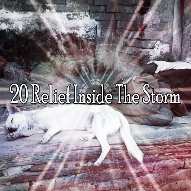 20 Relief Inside the Storm