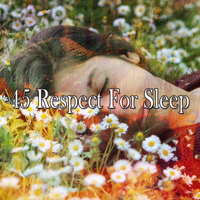 Couverture de 45 Respect for Sleep