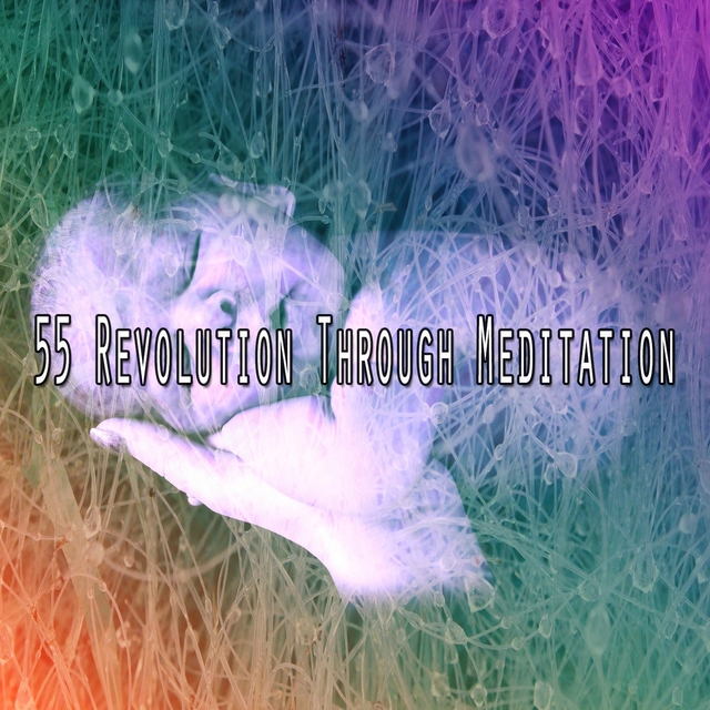 55 Revolution Through Meditation