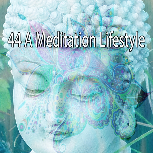 44 A Meditation Lifestyle