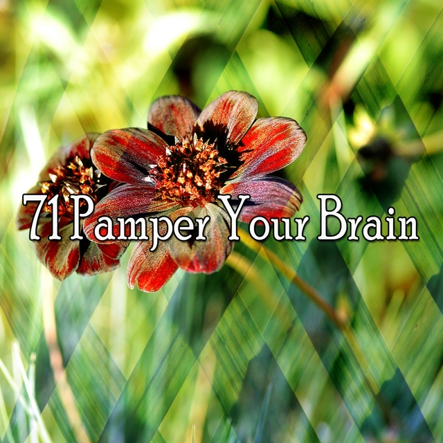 71 Pamper Your Brain