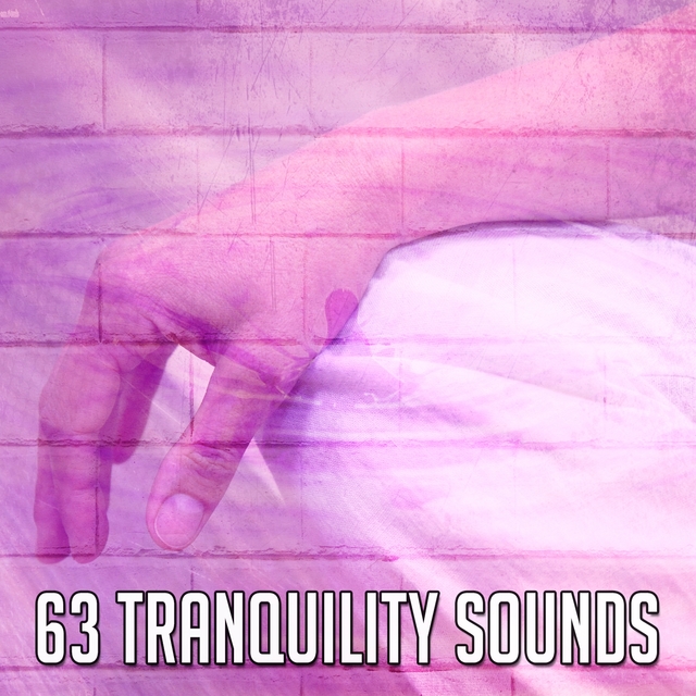 63 Tranquility Sounds