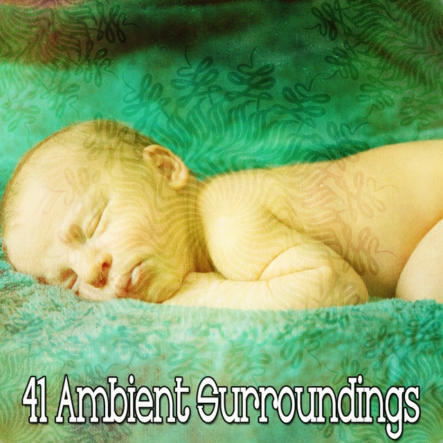 41 Ambient Surroundings