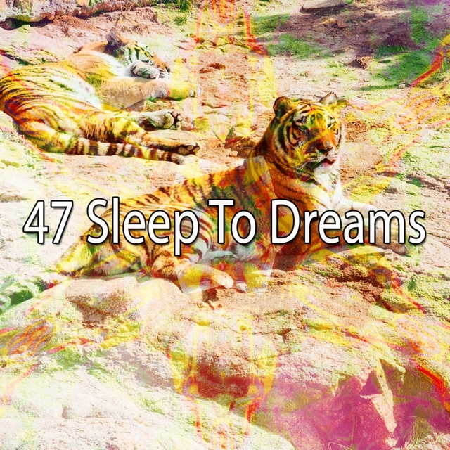 47 Sleep to Dreams