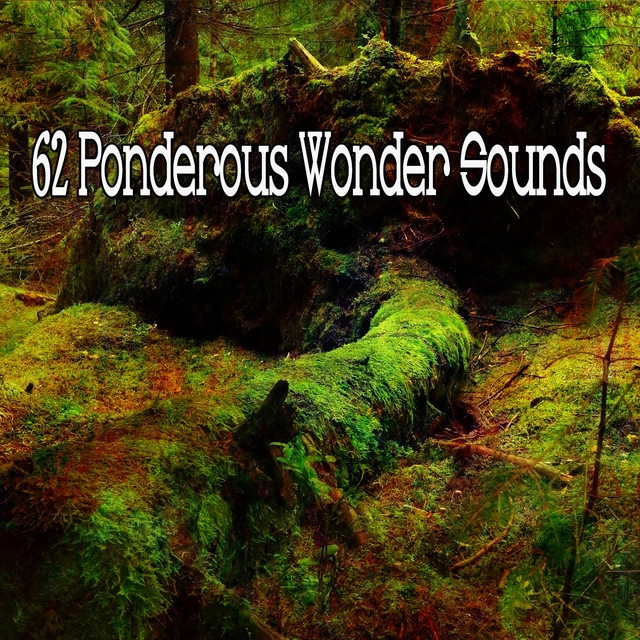 62 Ponderous Wonder Sounds