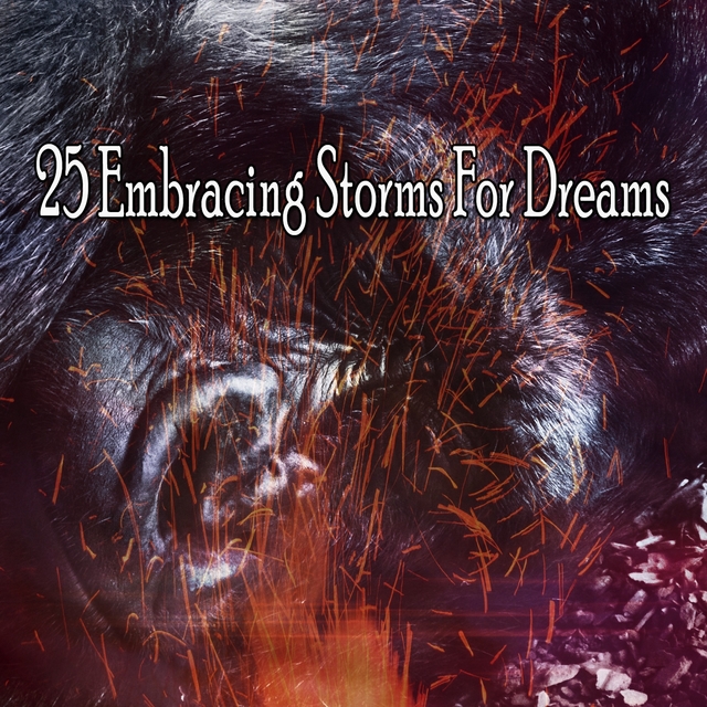 25 Embracing Storms for Dreams