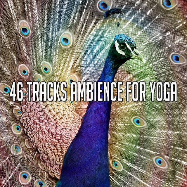 46 Tracks Ambience for Yoga