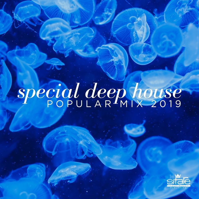 Couverture de SPECIAL DEEP HOUSE POPULAR MIX 2019