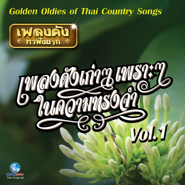 Couverture de เพลงดังเก่าๆ เพราะๆ ในความทรงจำ, Vol. 1