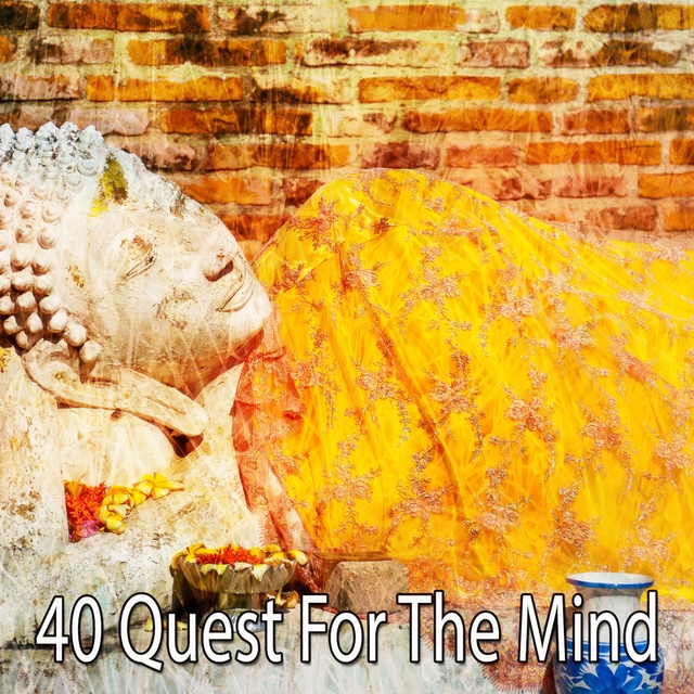 Couverture de 40 Quest for the Mind