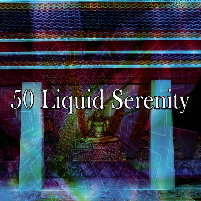 Couverture de 50 Liquid Serenity