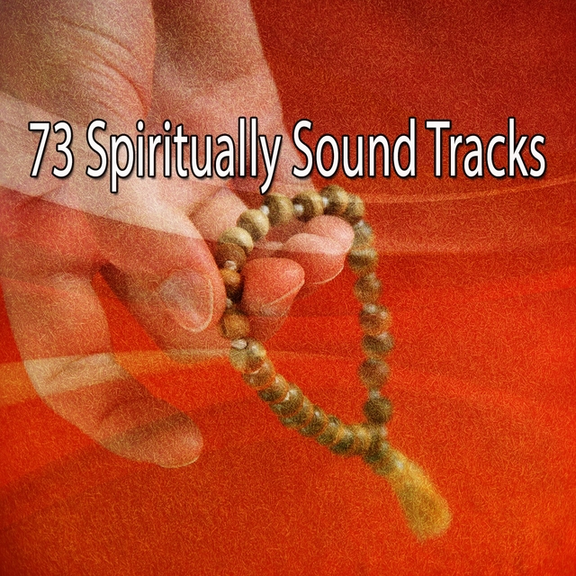 Couverture de 73 Spiritually Sound Tracks