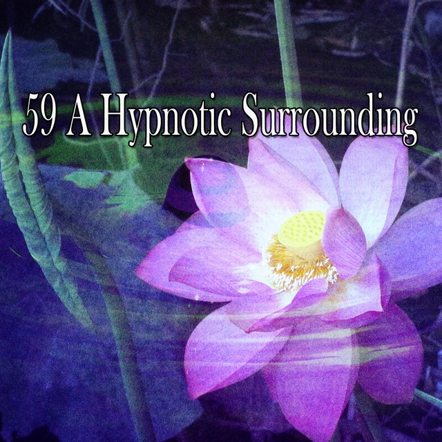 Couverture de 59 A Hypnotic Surrounding