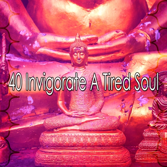 Couverture de 40 Invigorate a Tired Soul