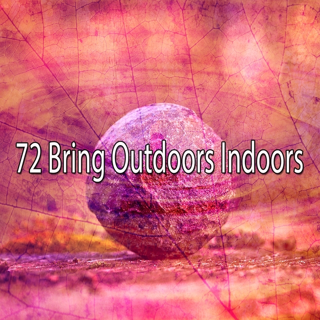 Couverture de 72 Bring Outdoors Indoors