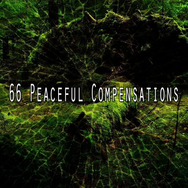 Couverture de 66 Peaceful Compensations