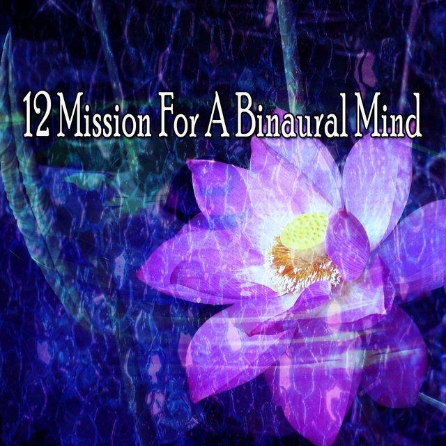 12 Mission for a Binaural Mind