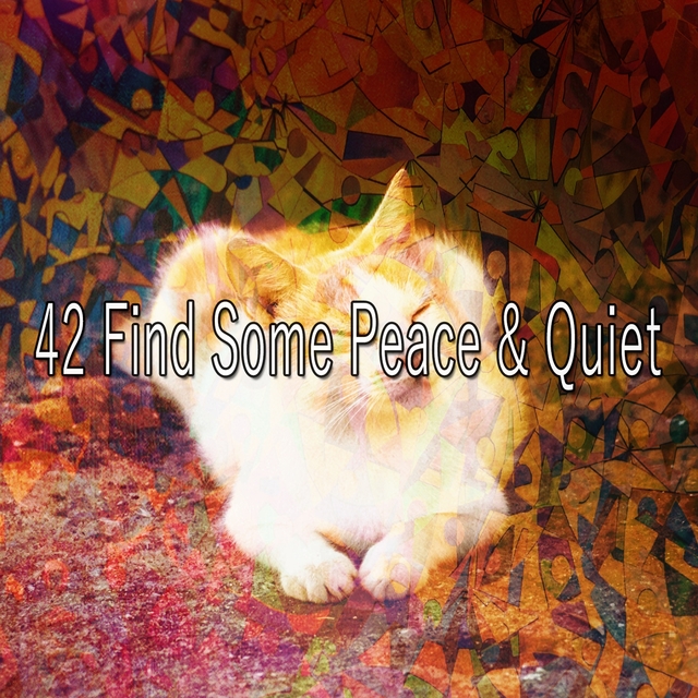 Couverture de 42 Find Some Peace & Quiet