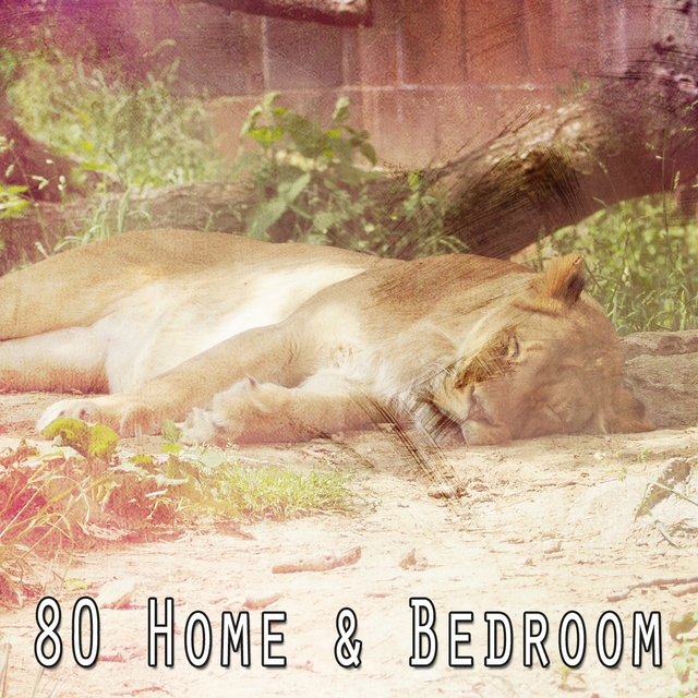 80 Home & Bedroom