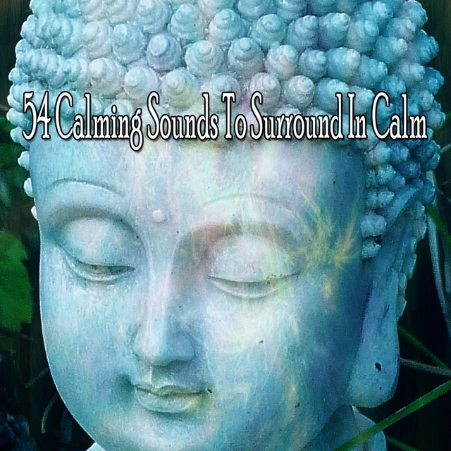 54 Calming Sounds to Surround in Calm