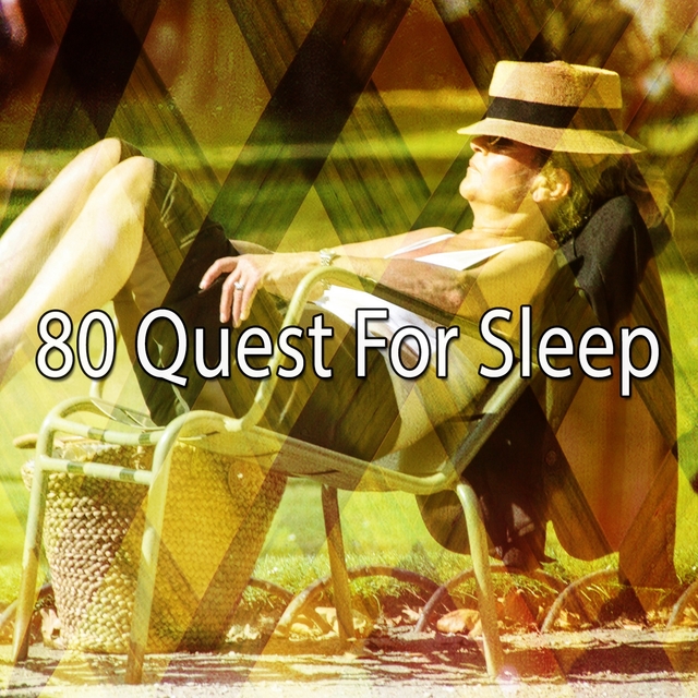 80 Quest for Sleep