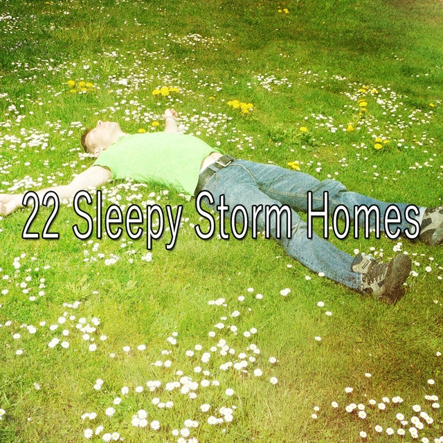 Couverture de 22 Sleepy Storm Homes