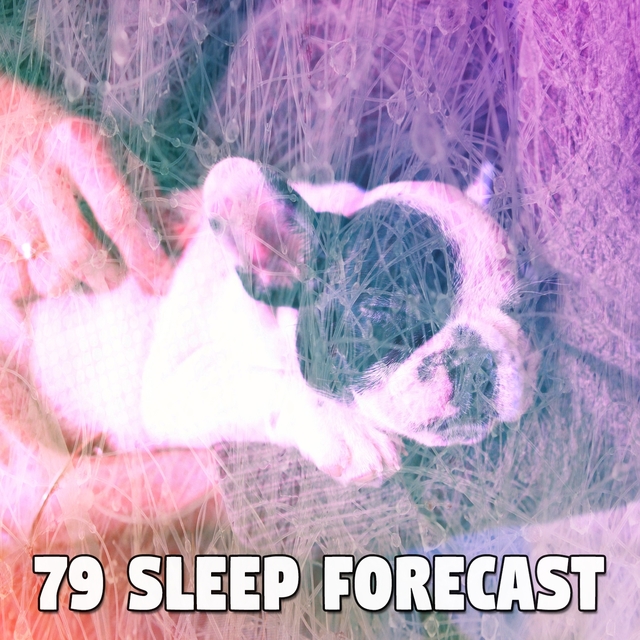 79 Sleep Forecast