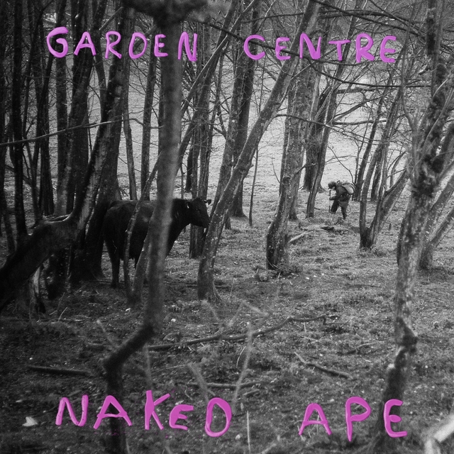 Couverture de Naked Ape