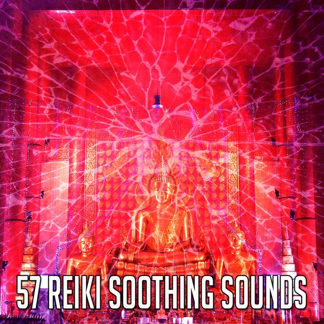 Couverture de 57 Reiki Soothing Sounds