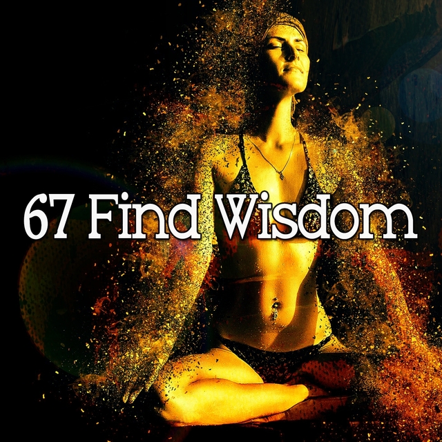 67 Find Wisdom