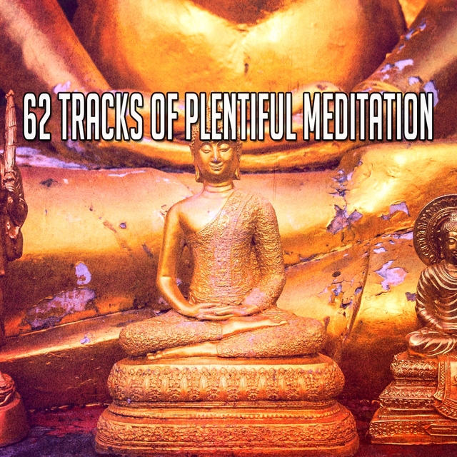 Couverture de 62 Tracks of Plentiful Meditation