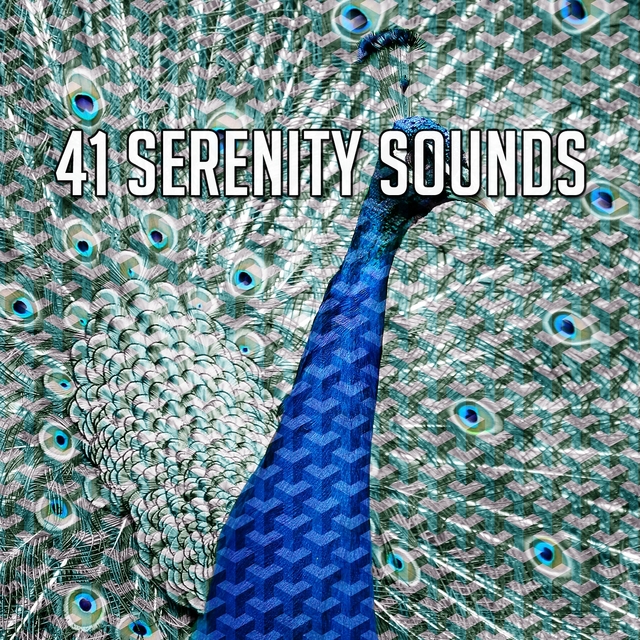 Couverture de 41 Serenity Sounds