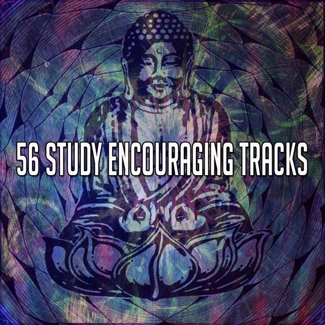 Couverture de 56 Study Encouraging Tracks