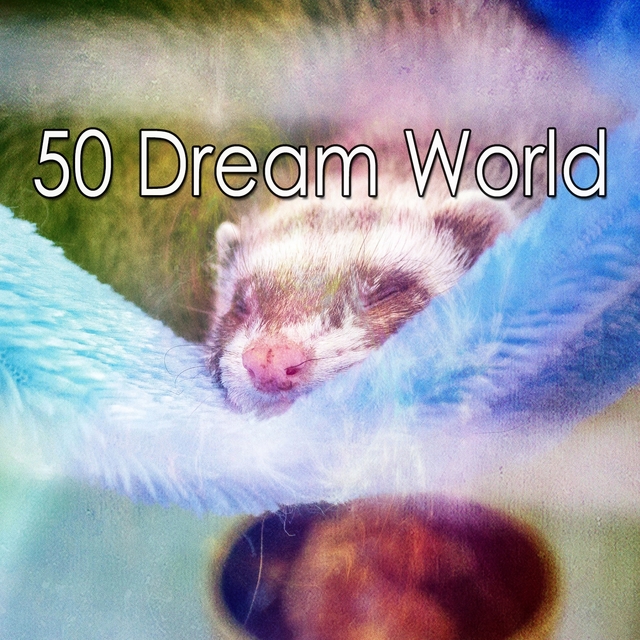 50 Dream World