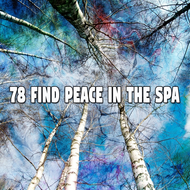 78 Find Peace in the Spa