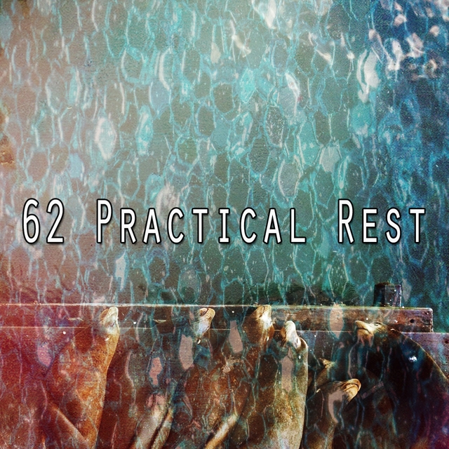 62 Practical Rest