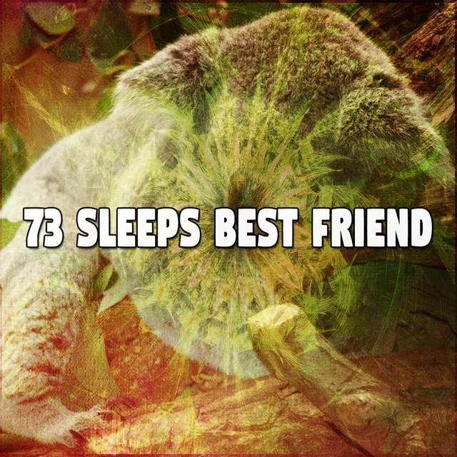 73 Sleeps Best Friend