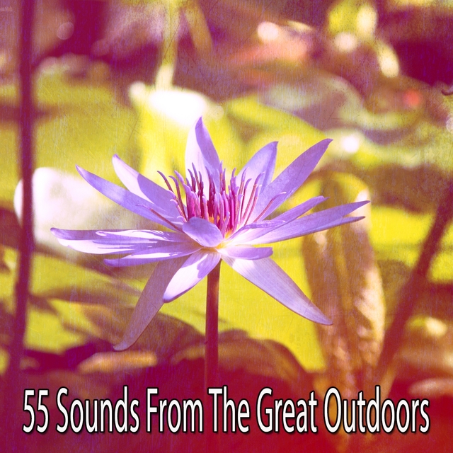 Couverture de 55 Sounds from the Great Outdoors