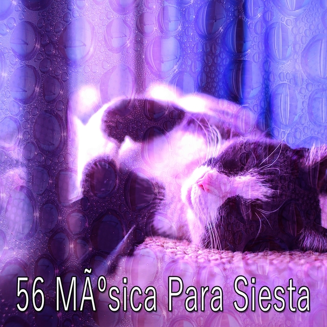 Couverture de 56 Musica Para Siesta