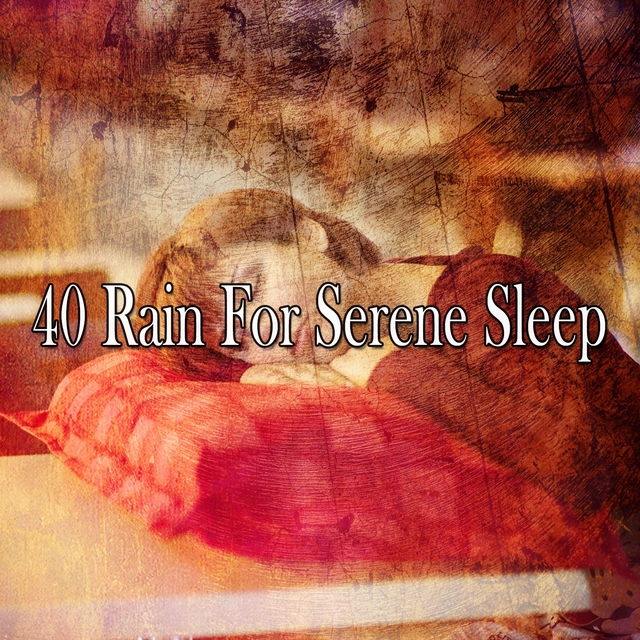 40 Rain for Serene Sleep