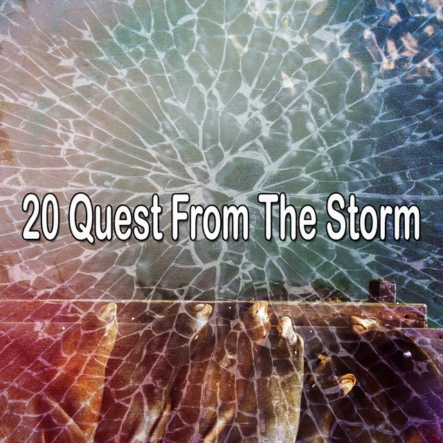 20 Quest from the Storm