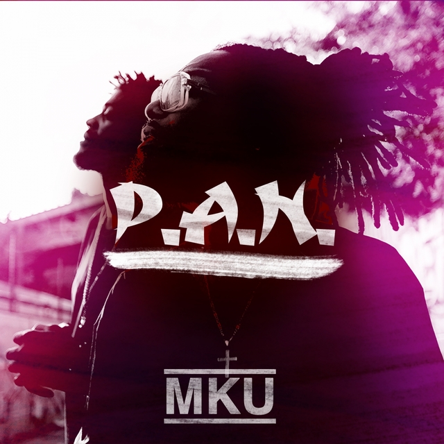 Couverture de P.A.N.