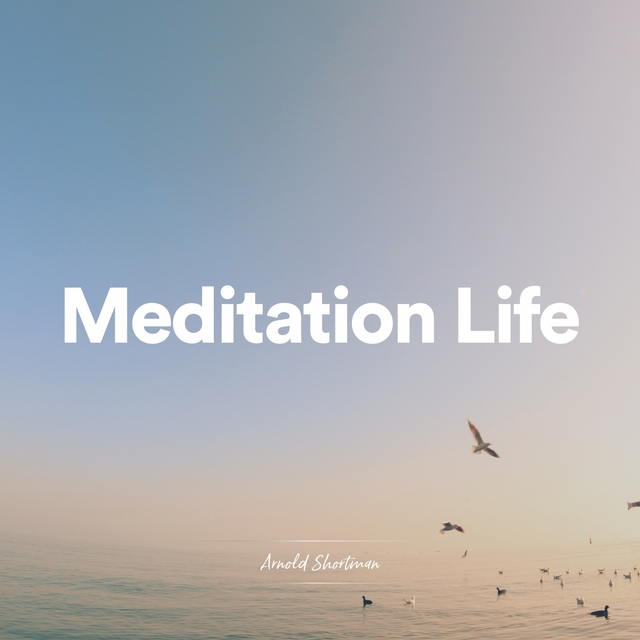 Meditation Life