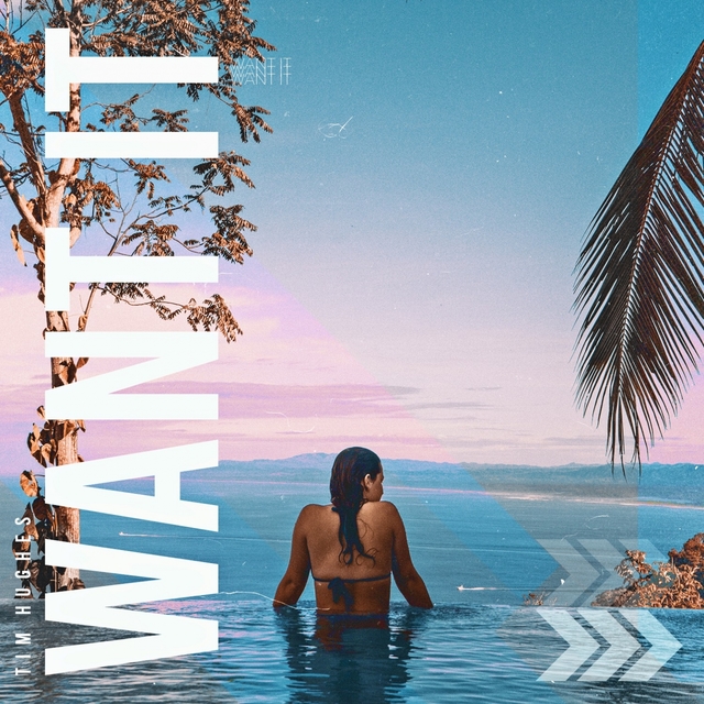 Couverture de Want It