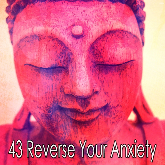 43 Reverse Your Anxiety